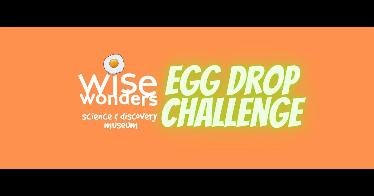 Wise Wonders Egg Drop